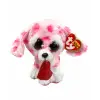 Rory Dog Val Reg
