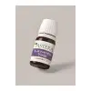 Saf Lavanta Yağı 10 ML