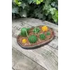 Saguaro Kaktüs Mum Kalıbı (Silikon)
