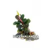 Saksı, Bucephalandra Apple Leaf Canlı Bitki