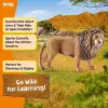 Schleich-Wild Life-Kükreyen Aslan