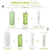 Sebiaclear Active Teinte 40ml