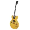Seg-272N Elektro Gitar