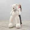 Sevgiliye Özel 140 cm Papyonlu Pelüş Ayıcık
