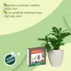 Sıkıştırılmış Torf Cocopeat 5 L
