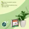 Sıkıştırılmış Torf Cocopeat 5 L