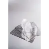 Silikonlu Oje Baskı Seti Stamper