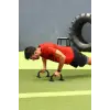 Şınav Barı