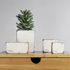 Sirona Saksı 4