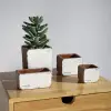 Sirona Saksı 4