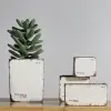 Sirona Saksı 4