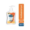 Sıvı Sabun Aktif Koruma 300 ml