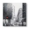 Siyah Beyaz Paris Kule Tablo 40 x 40