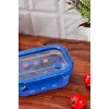 Smart 640 ml Borosilikat Saklama Kabı