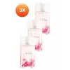Soft Musk Kadın Parfüm Edt 50 Ml. 3lü Set