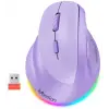 Solak Kablosuz Ergonomik Dikey Fare, Şarj Edilebilir -Mor