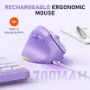 Solak Kablosuz Ergonomik Dikey Fare, Şarj Edilebilir -Mor