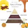 Spice Orange Yedek Esans 250 ml