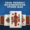 Spiderman Premium Oyun Kartları