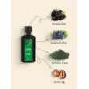 Spirulina Bitkisel Karışım - 100ml
