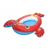 Splash Buddy Şişme Bebek Botu