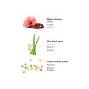 Spray Condition Naturelle 150 Ml