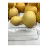 Su Kabağı, 1 Adet