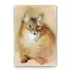 Sulu Boya Sarı Kedi Tablosu 70x100 cm