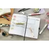 swing cool NatureCOLORS 6lı Paket