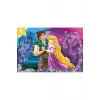 Tangled Frame 24 Parça Puzzle