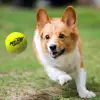 Tenis Topu Blaster Köpek Oyuncağı