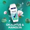 Thermocool Kadın Roll-On Deodorant Eucalyptus & Magnolia 50 Ml