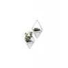 Trigg Duvar Sergisi (2Li Set)