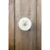 Tüylü Ayı Mini Silikon Mum Kalıbı