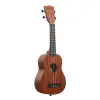 Ukulele Başlangıç Seti