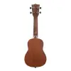 Ukulele Başlangıç Seti