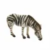 Vahşi Zebra Figürü 12 cm