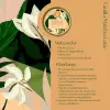 Vanilya Aromalı Matcha 50 g
