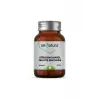VeNatura Sitikolin 250 Mg 30 Kapsül 79666