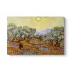 Vincent Van Gogh, Olive Trees Tablosu 125 x 80