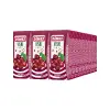 Vişne İçeceği, 200 ml x 27 adet