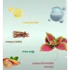 Vücut Güneş Kremi SPF 50