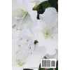 White Azaleas Journal