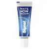 White Now Instantly Diş Macunu (1 x 16 mL)