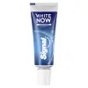 White Now Instantly Diş Macunu (1 x 16 mL)