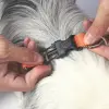 Wild Jungle S Köpek Harness