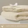 Windom Luxury Microfiber Down Alternative Blanket with 3M Moisture Management Ivory 108x90 King Size Quilted Premium Soft Cozy 3M Scotchgard Moisture Microfiber For Bed, Couch or Sofa