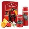 Wolfthorn Erkek Hediye Seti, Stick Deodorant ve Duş Jeli