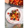 x Bengi Kurtcebe Pomodoro Stoneware 4lü Yemek Tabağı Seti 23 cm