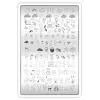 XL Stamping Baskı Plakası, Bahar 22
